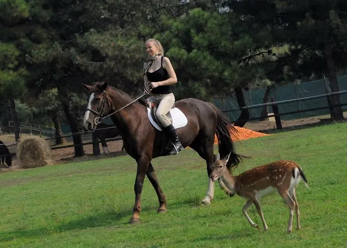 V4 Bi-trifamiliare * 이솔라 알바렐라