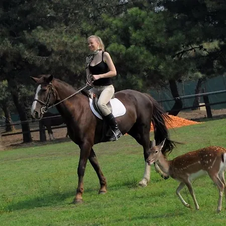 V4 Bi-trifamiliare * Albarella Island